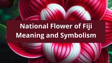 FIJF Meaning .